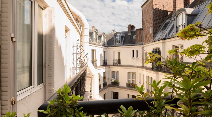 Photo of Monkey & Palme