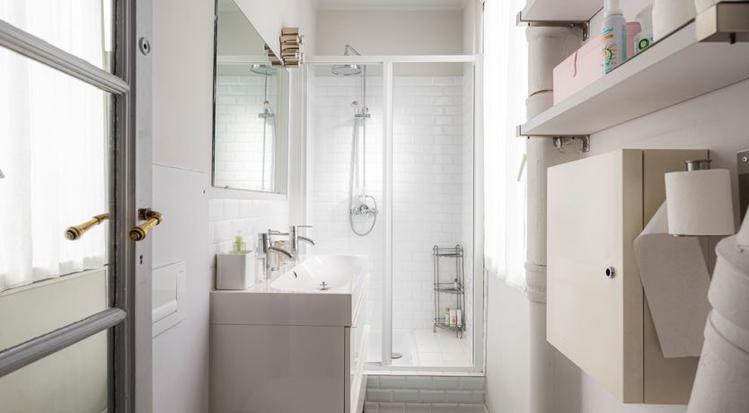 Photo of Monkey & Palme