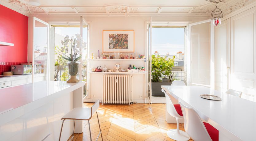 Photo of Monkey & Palme