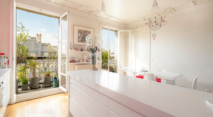 Photo of Monkey & Palme