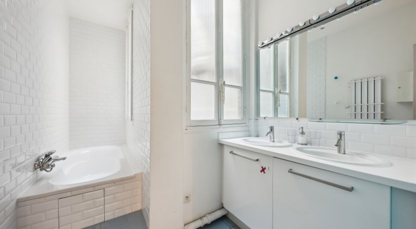 Photo of Monkey & Palme