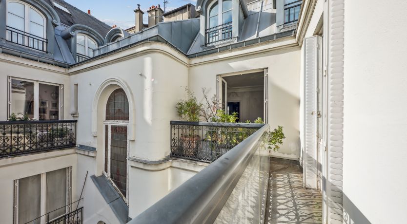 Photo of Monkey & Palme