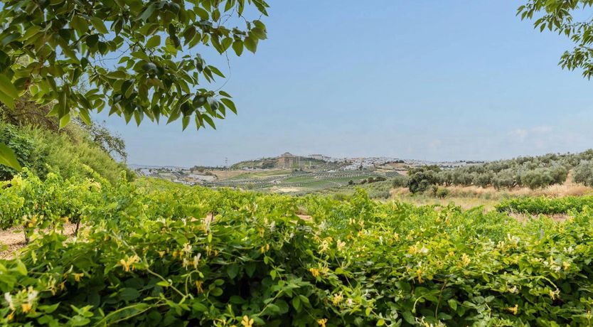 Photo of A Little Fresh Air