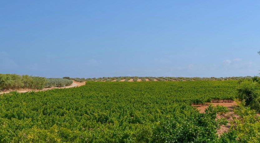 Photo of A Little Fresh Air