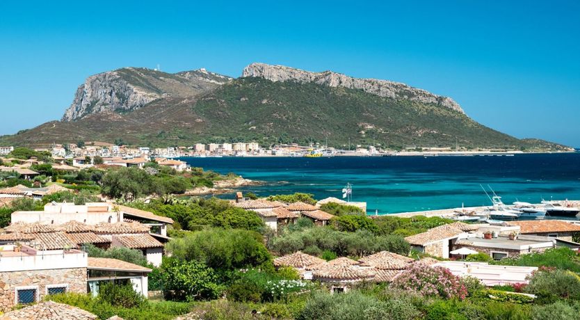 Photo of Sunflower Sky