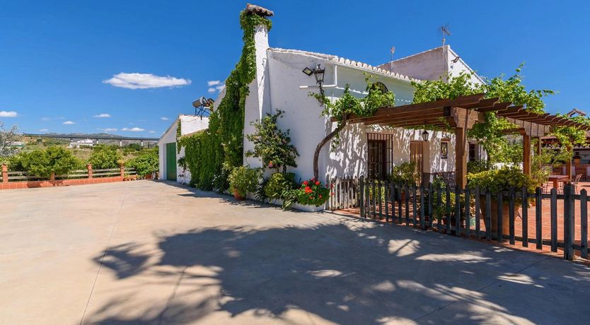 Photo of The Sunny Life