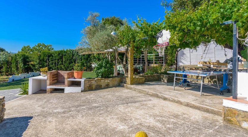 Photo of The Sunflower Moon