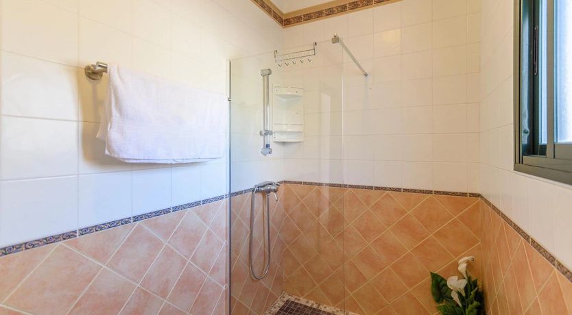 Photo of The Sunflower Moon