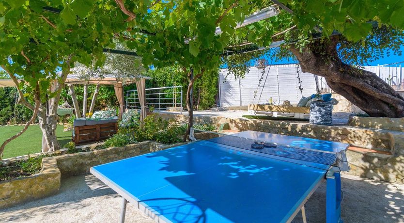 Photo of The Sunflower Moon