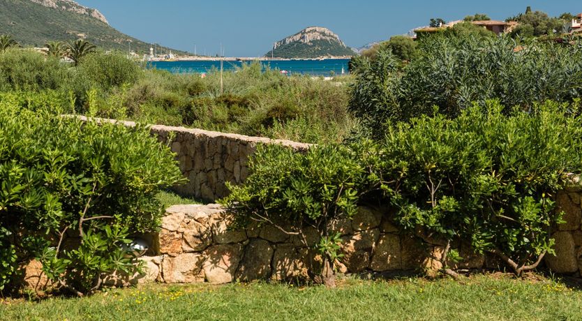 Photo of Sardinian Tide