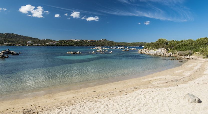 Photo of Sardinian Tide