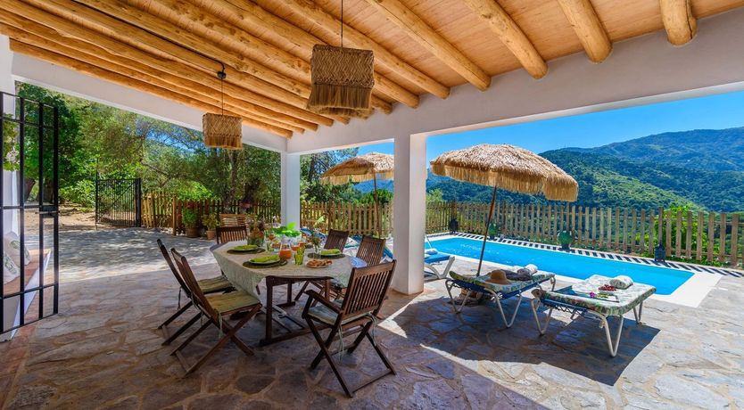 Photo of The Daydreamer