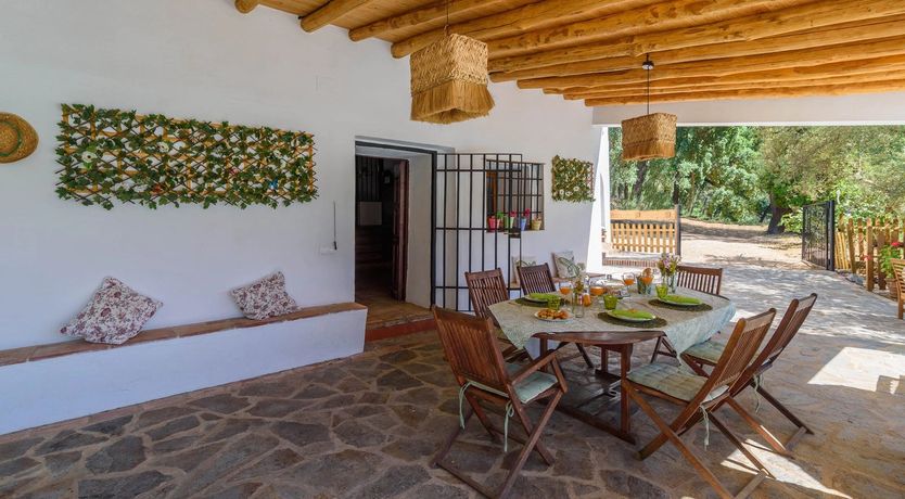 Photo of The Daydreamer