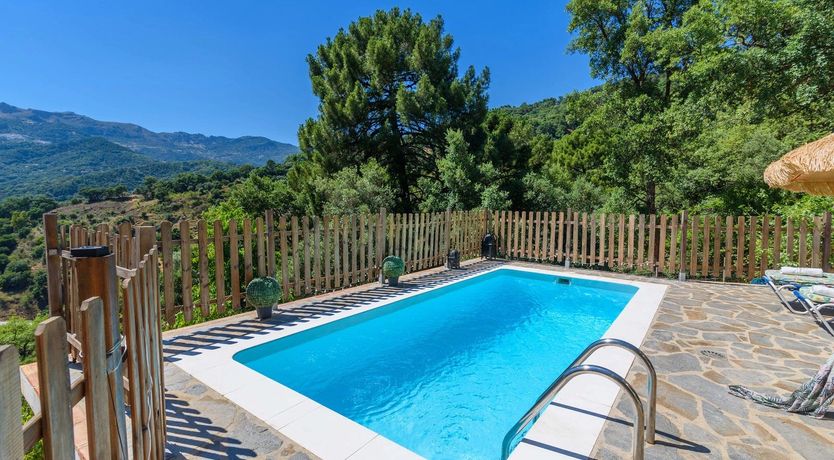 Photo of The Daydreamer