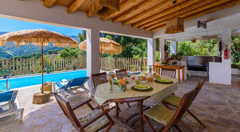 Photo of The Daydreamer