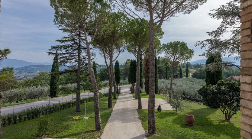Photo of The Olive Courtyard