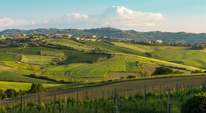 Photo of The Art of Dreams