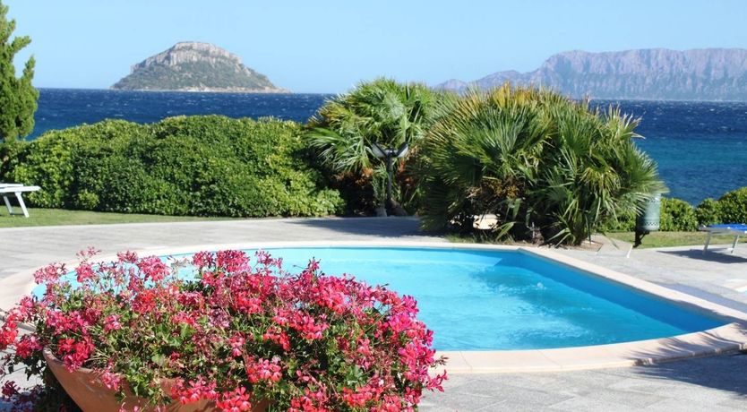 Photo of Turquoise Dream