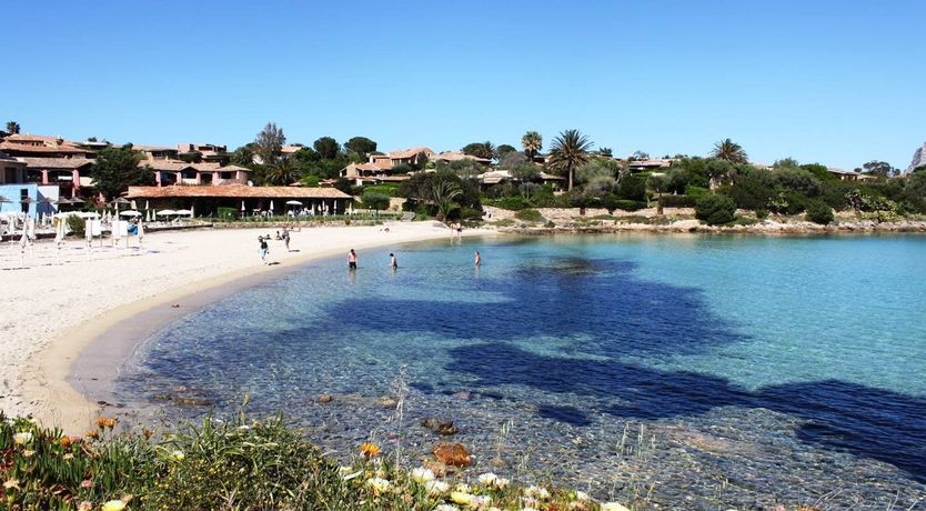 Photo of Turquoise Dream