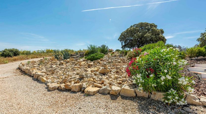 Photo of The Garden of the Sun