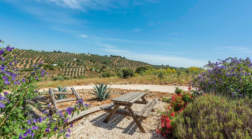 Photo of The Garden of the Sun