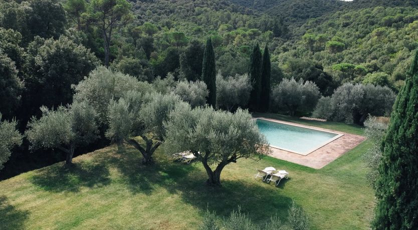 Photo of Spanish Sunbeam