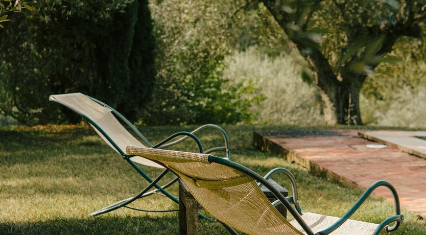 Photo of Spanish Sunbeam