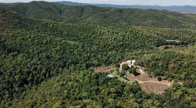 Photo of Spanish Sunbeam