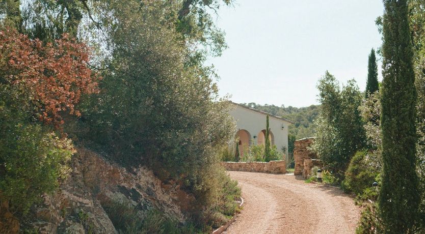 Photo of Spanish Sunbeam