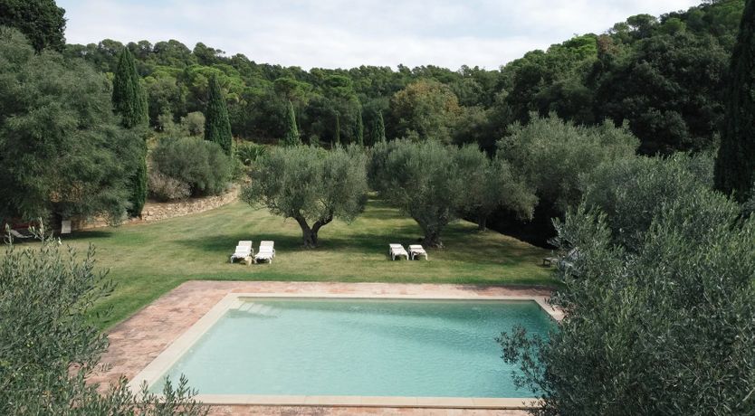 Photo of Spanish Sunbeam