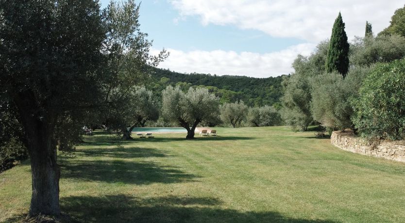 Photo of Spanish Sunbeam