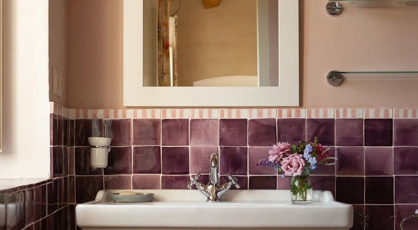 Photo of Spanish Sunbeam