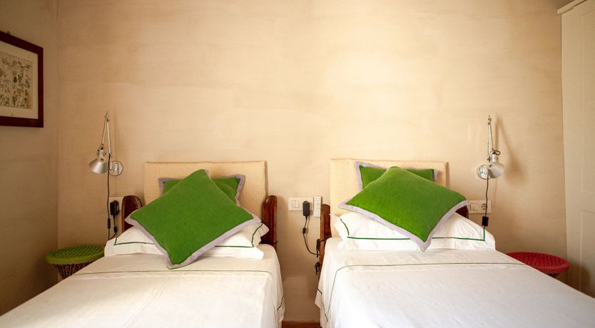 Photo of Spanish Sunbeam