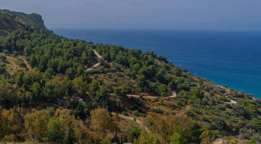 Photo of Andalusian Ambiance