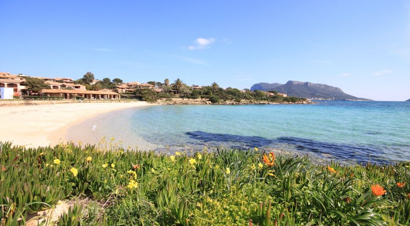 Photo of A Perfect Ambience