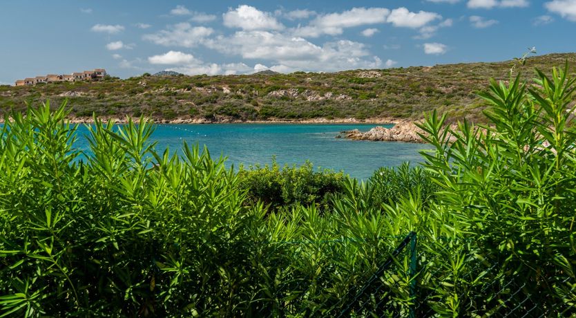 Photo of A Perfect Ambience