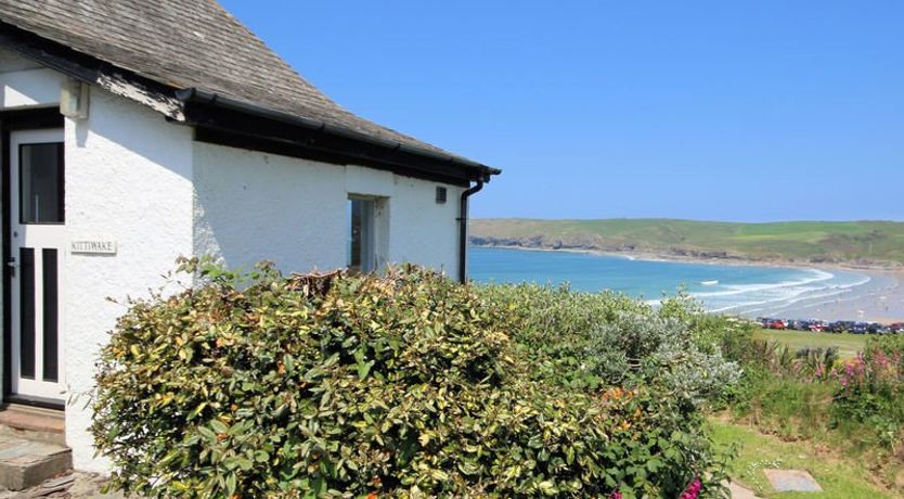 Photo of Gullsway: Kittiwake
