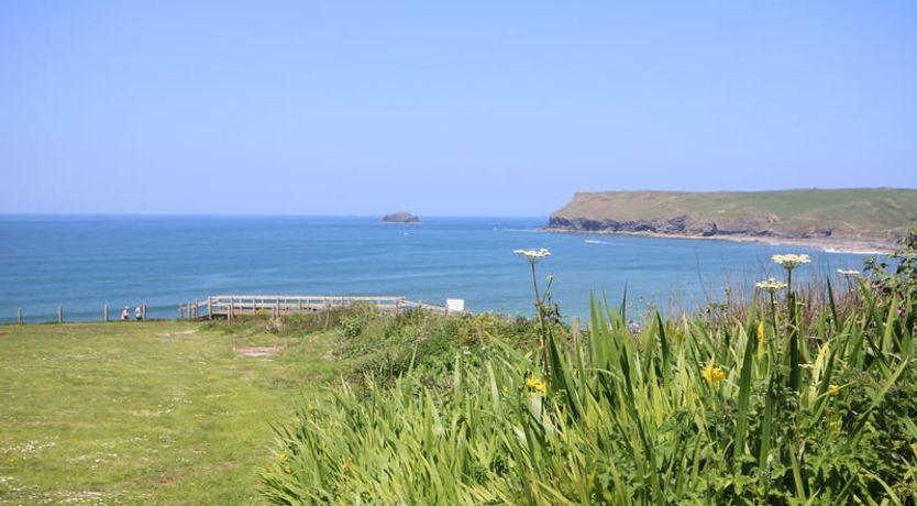 Photo of Gullsway: Kittiwake