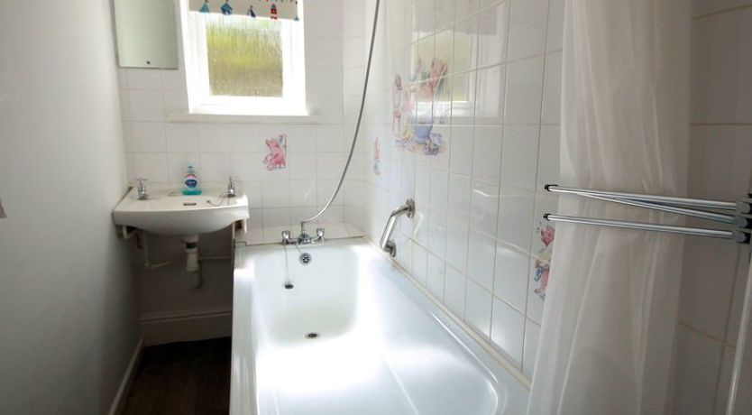 Photo of Gullsway: Sandpiper