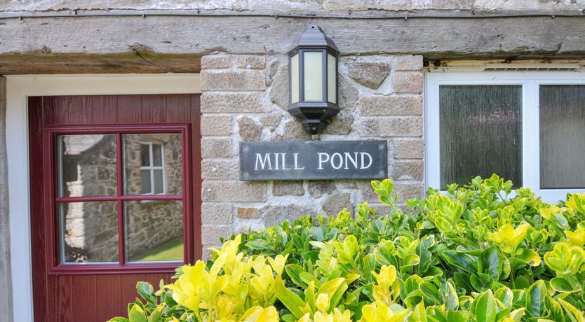 Photo of Mill Pond