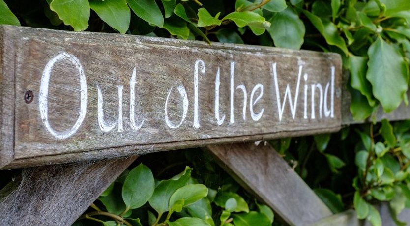 Photo of Out of the Wind