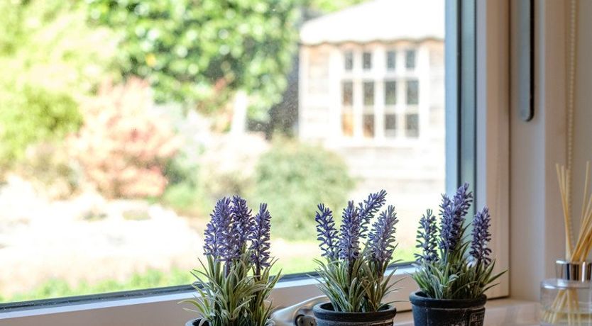 Photo of Out of the Wind