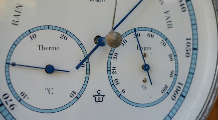 Photo of Out of the Wind