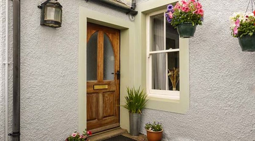 Photo of Gulls Hatch