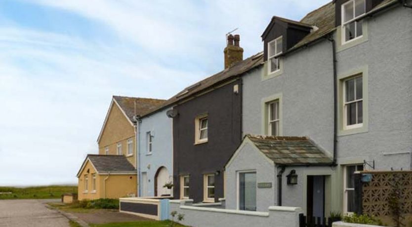 Photo of Gulls Hatch