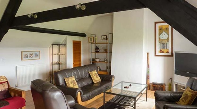 Photo of Gulls Hatch