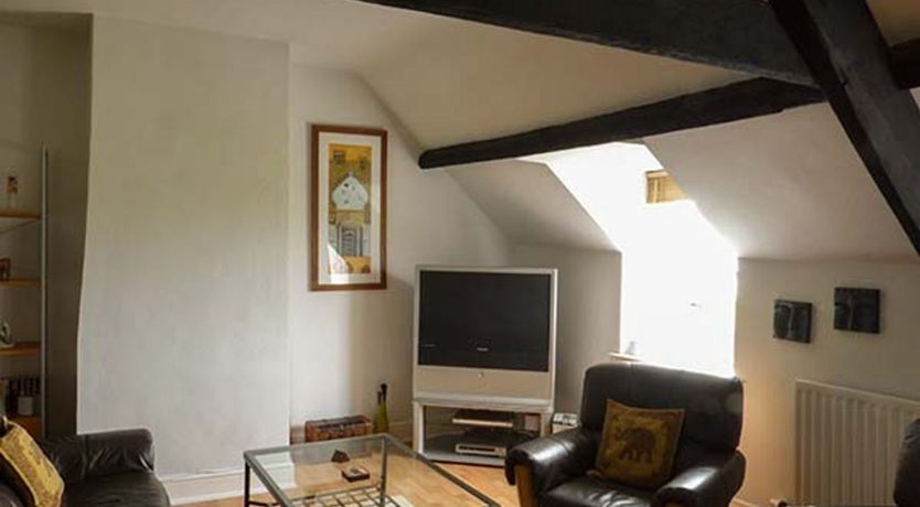 Photo of Gulls Hatch