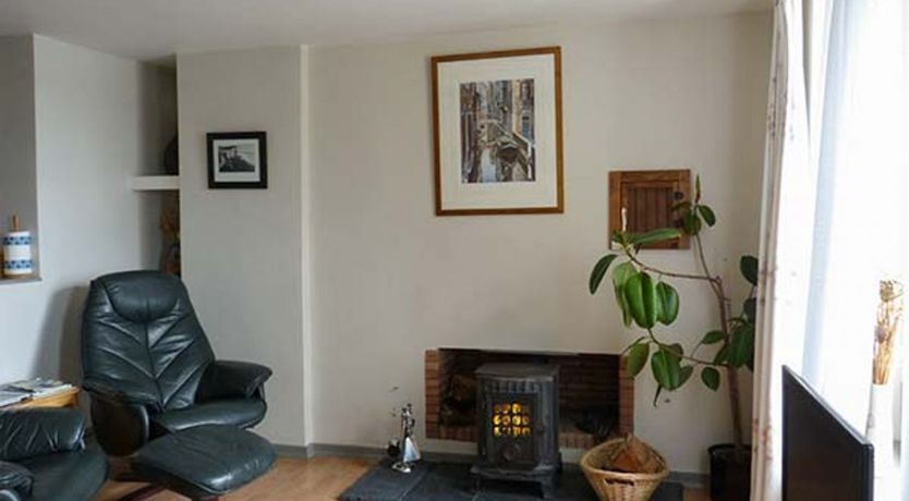 Photo of Gulls Hatch