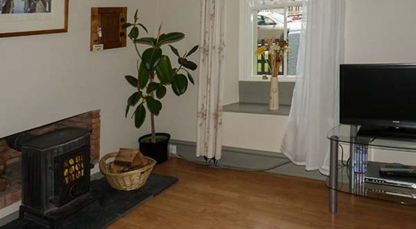 Photo of Gulls Hatch