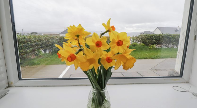 Photo of Nephin View